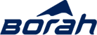 Borah Teamwear Logo