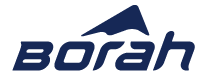 Borah Website Logo.